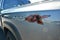 2026 Nissan Frontier Crew Cab PRO-4X® Long Bed