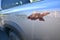 2027 Nissan Frontier Crew Cab PRO-4X® Long Bed